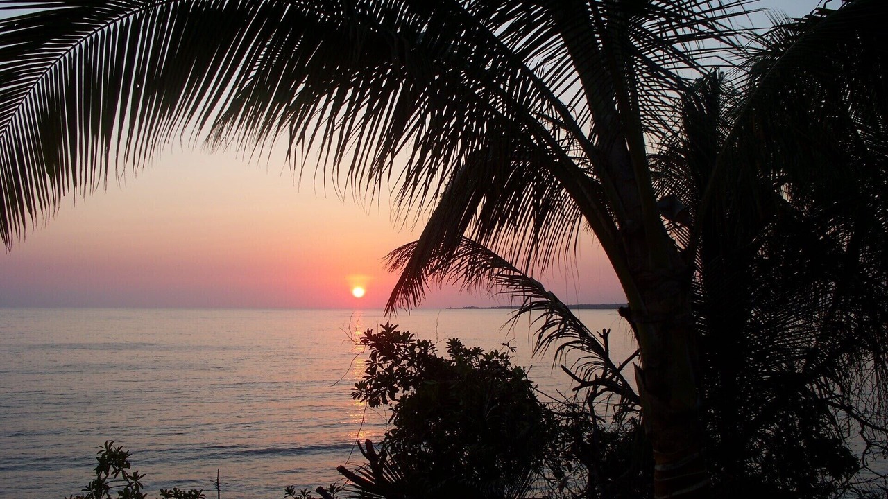 Photo of Others in Puerto Vallarta