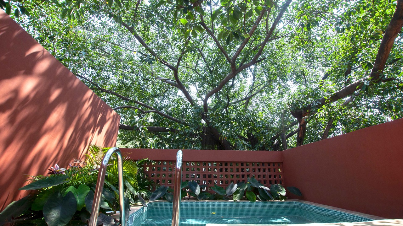 Photo of Outdoor in Emiliano Zapata