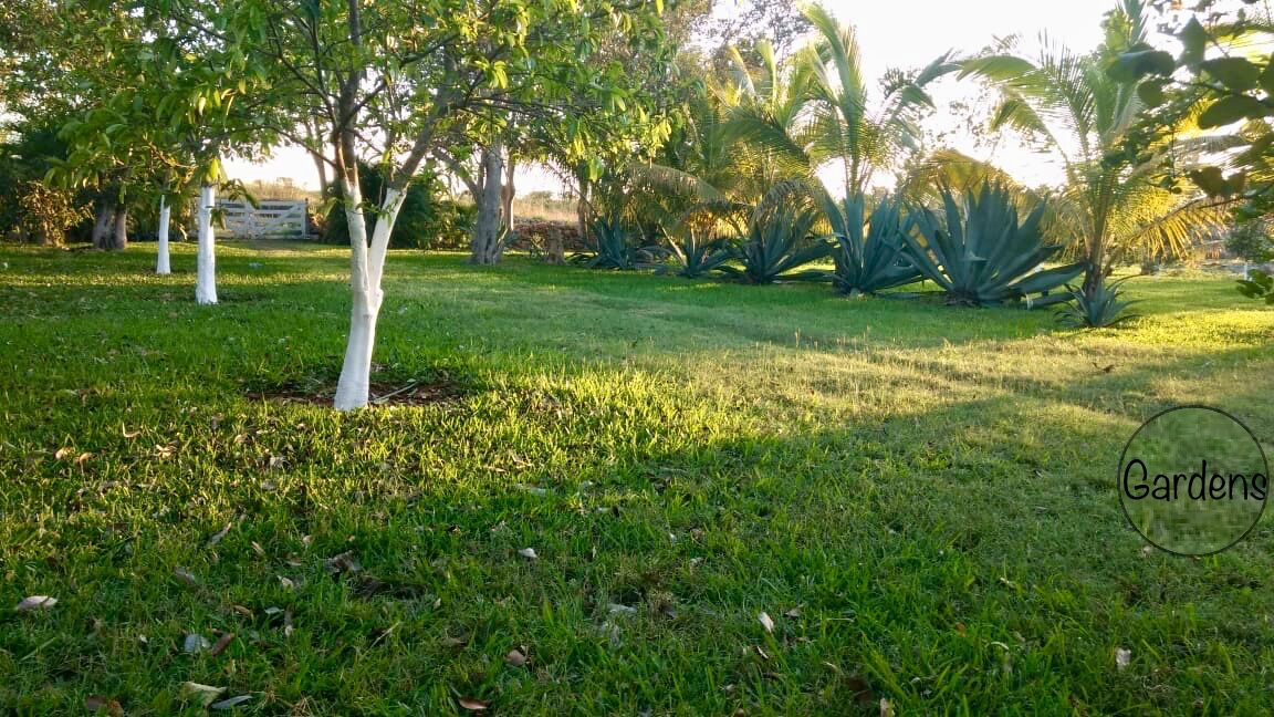 Photo of Outdoor in Tahmek