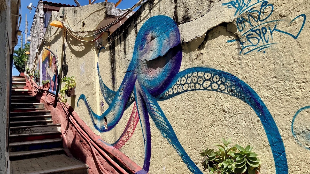 Photo of Others in Playa la Madera