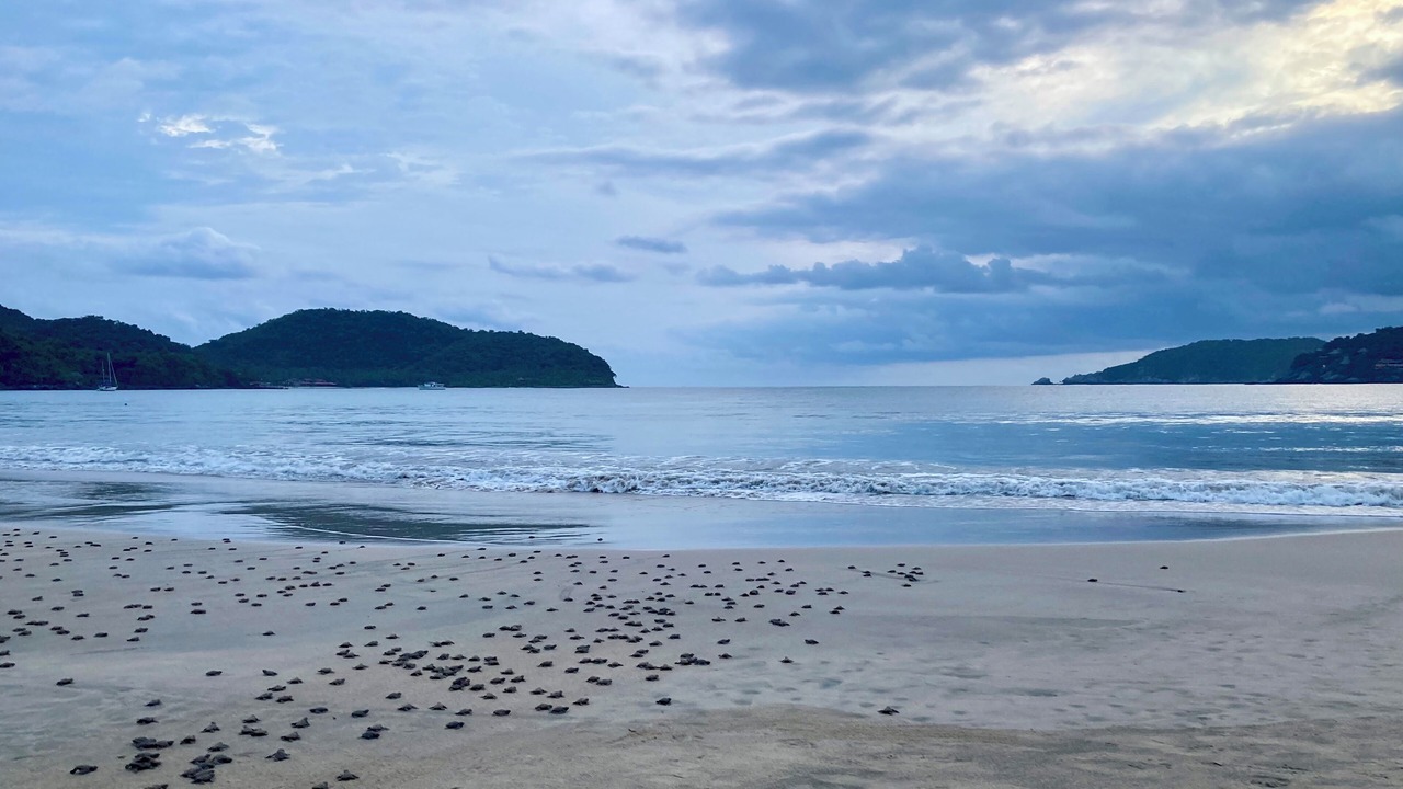 Photo of Others in Playa la Madera