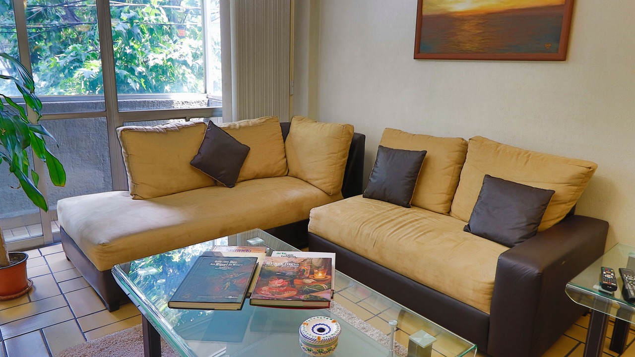 Photo of Livingroom in Colonia Cuauhtemoc