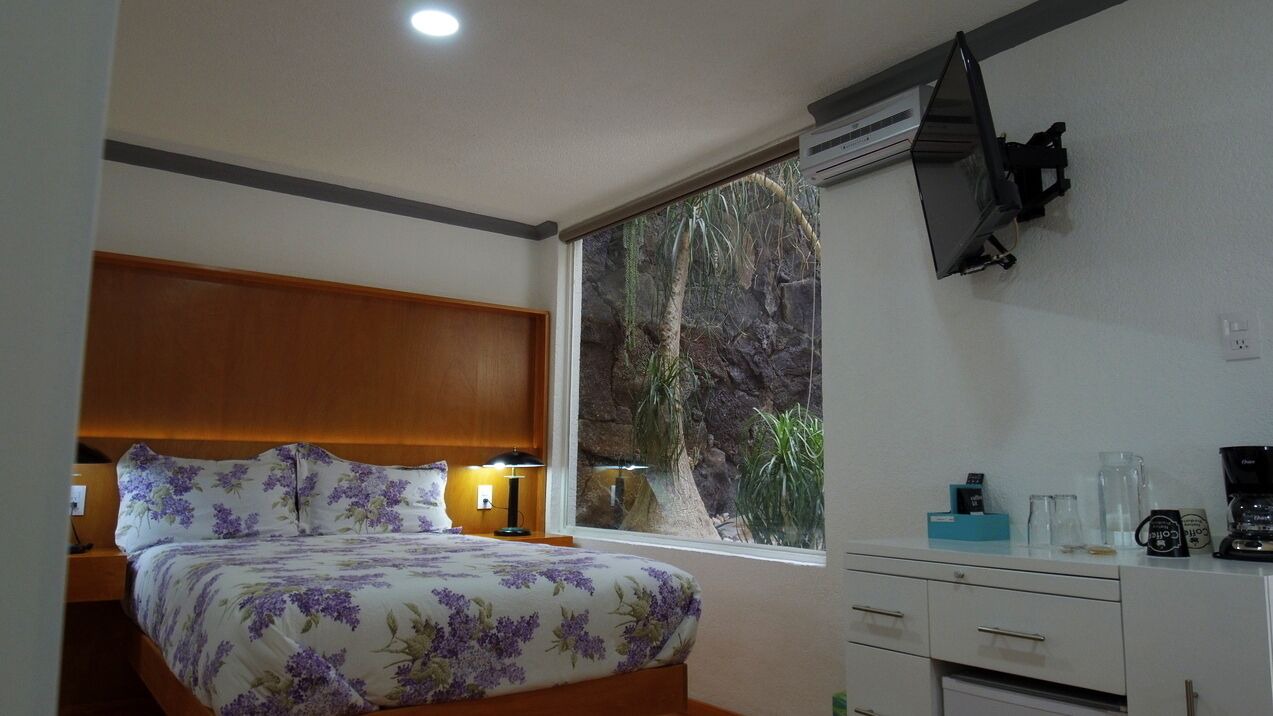 Photo of Bedroom in Puebla