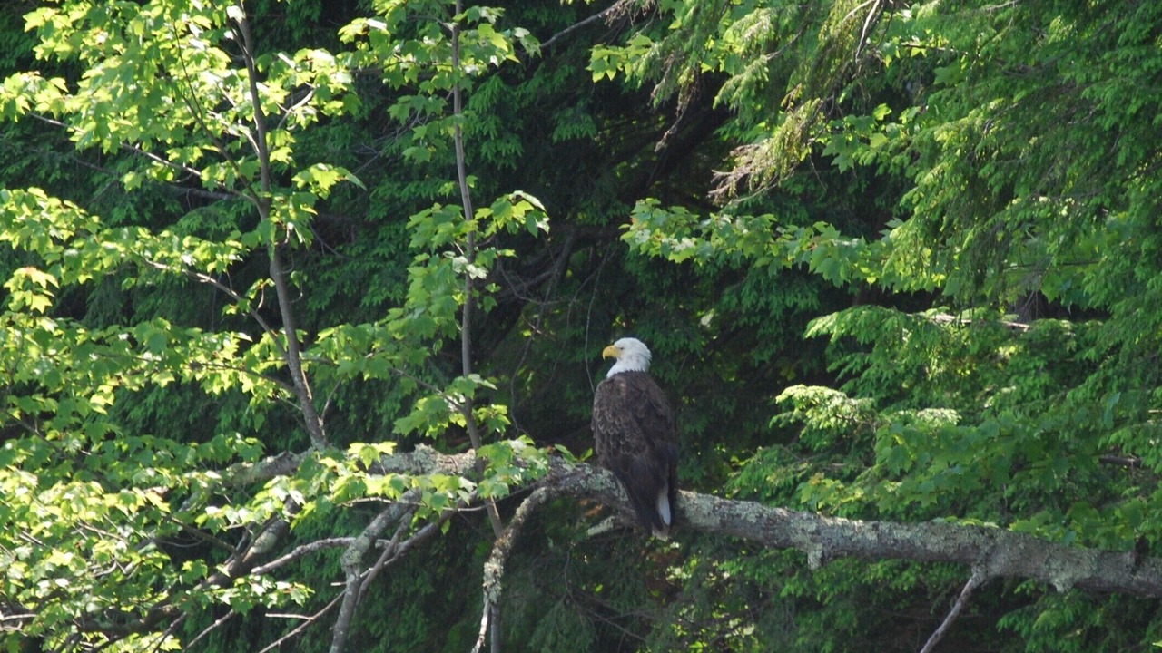 Photo of Outdoor in Norway