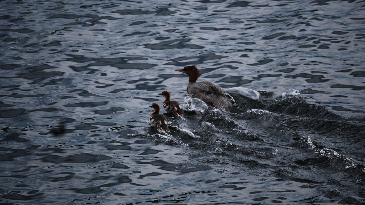 Photo of Outdoor in Norway