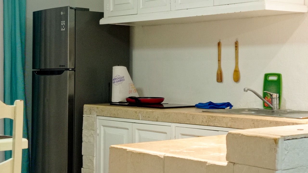 Photo of Kitchen in Zona Hotelera