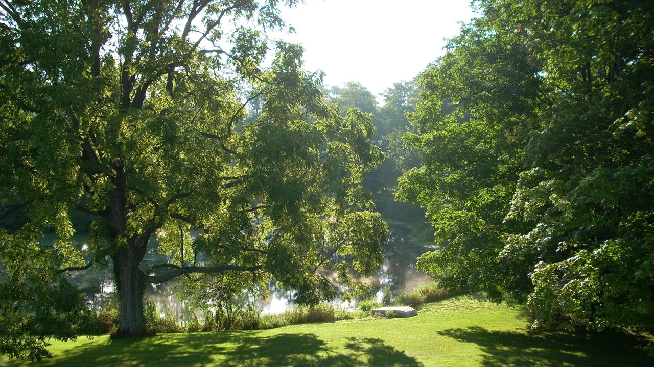 Photo of Others in Mount Vernon