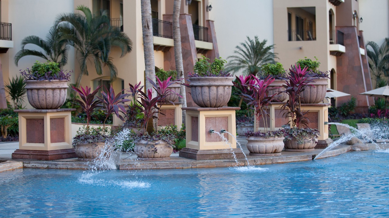 Photo of Outdoor in Flamingos