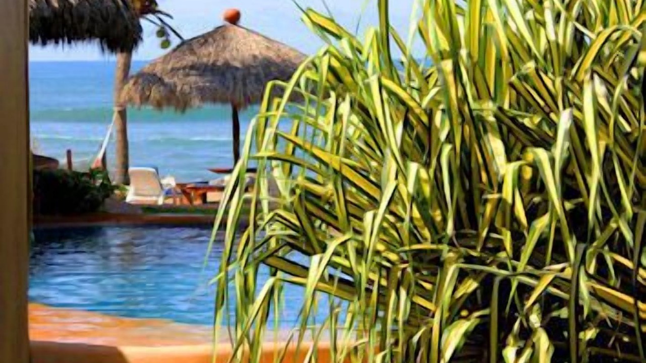 Photo of Others in Troncones