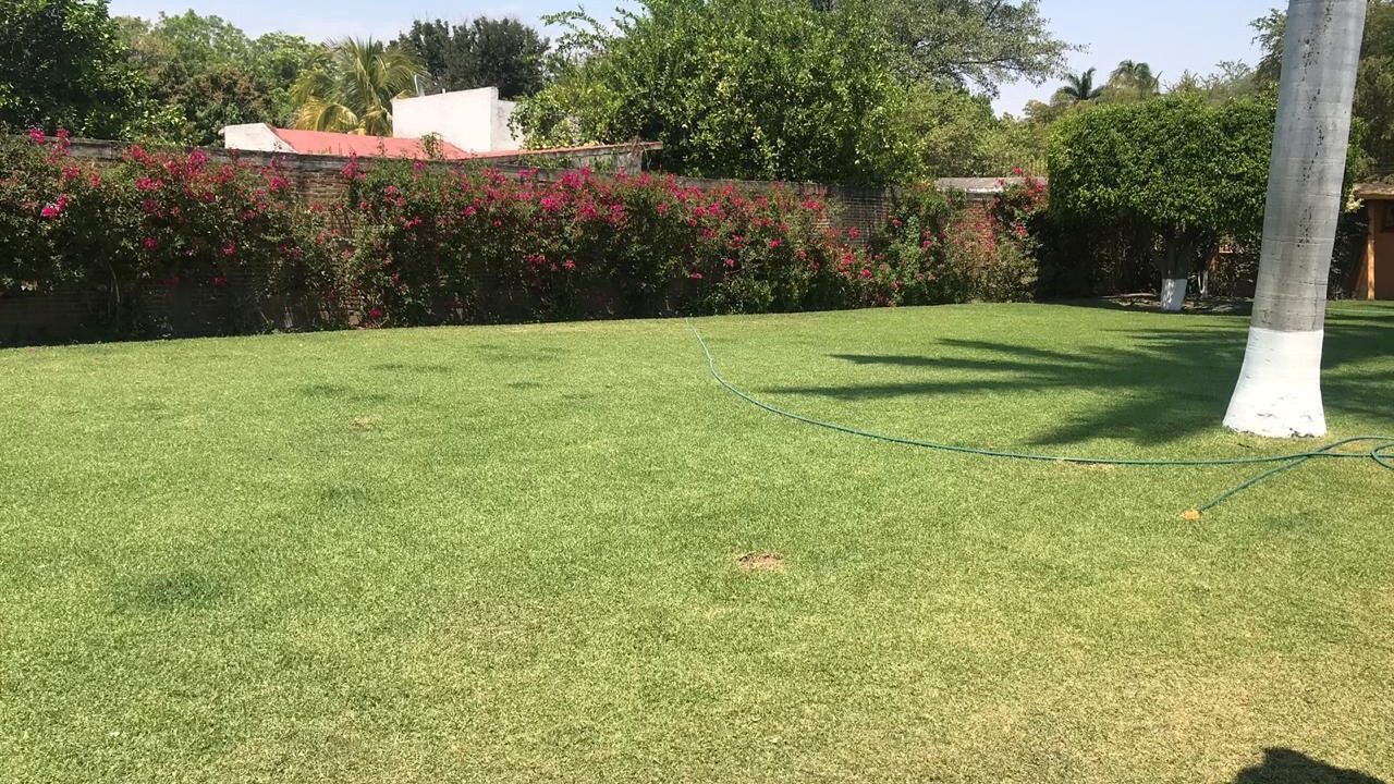 Photo of Outdoor in Tlaltizapan