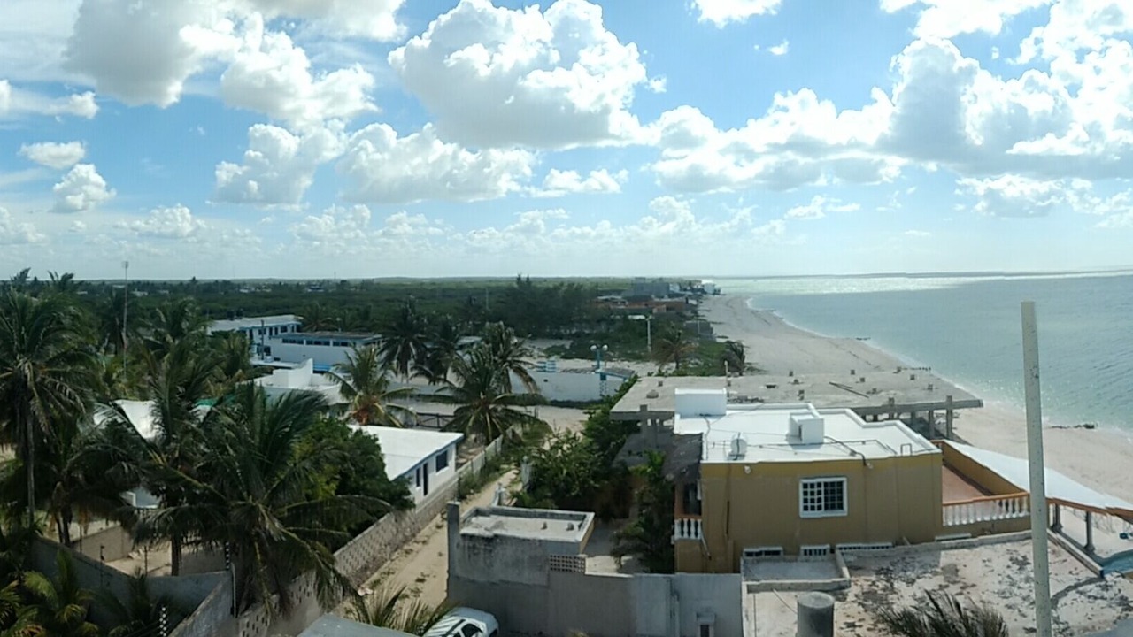 Photo of Others in Chuburna Puerto