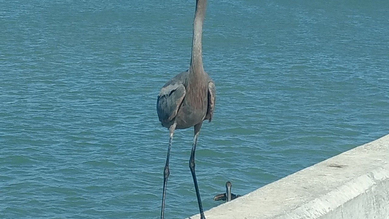 Photo of Outdoor in Chuburna Puerto