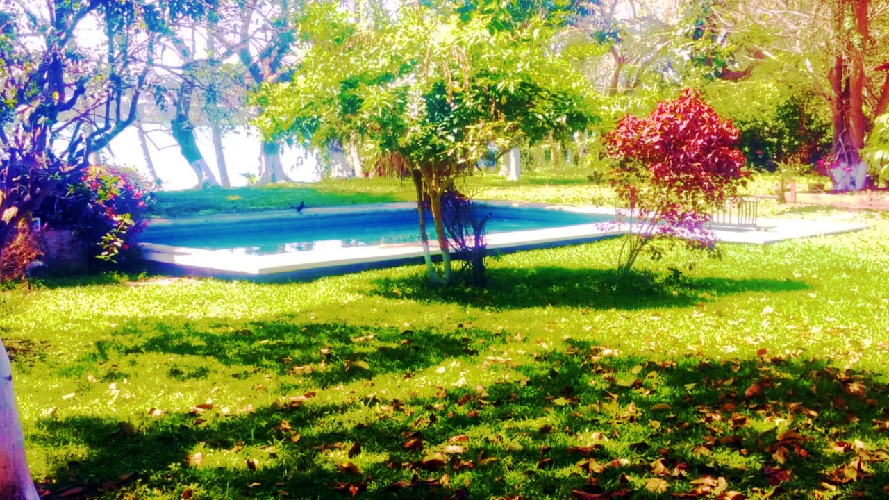 Photo of Outdoor in Tuxpan