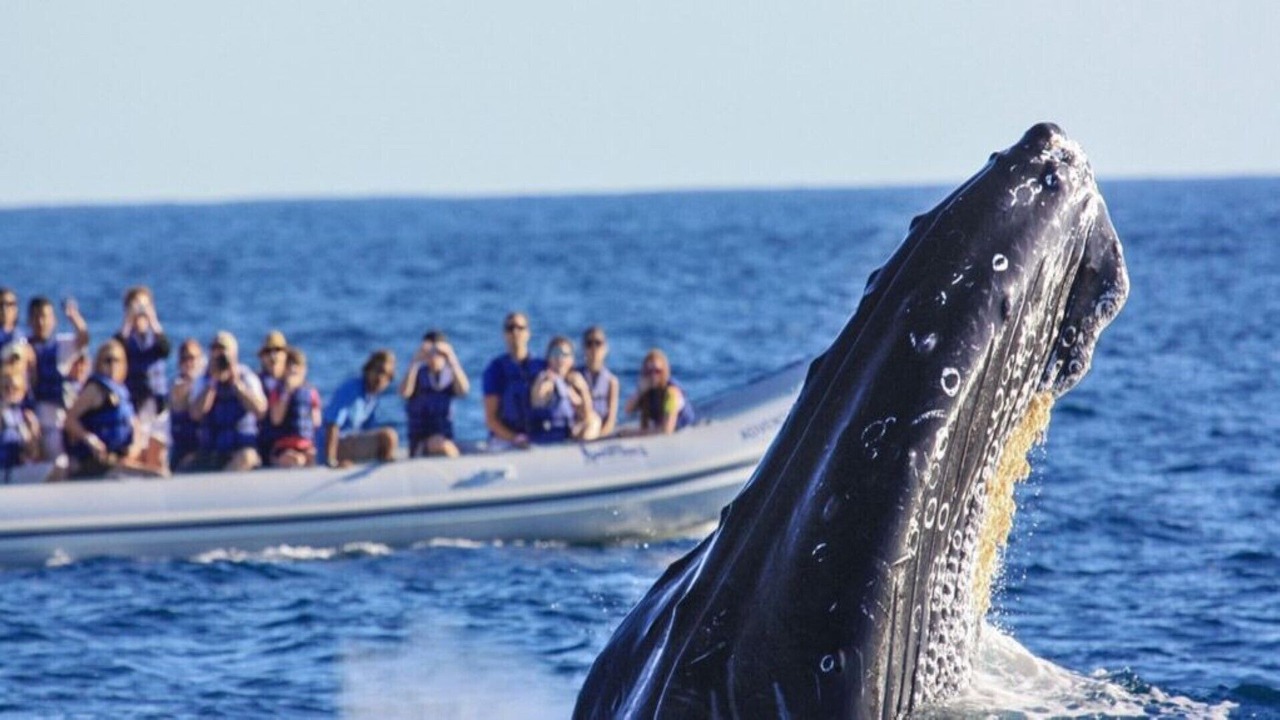 Photo of Others in Sunset Beach