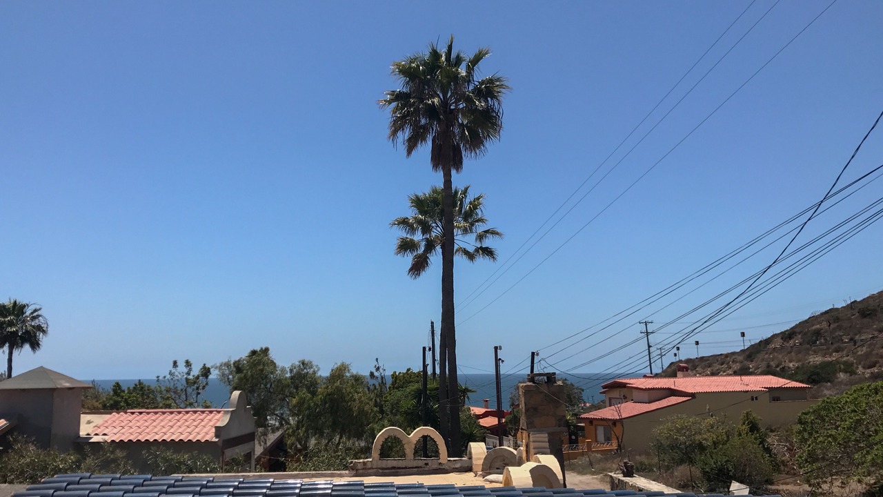 Photo of Outdoor in Juarez Municipality