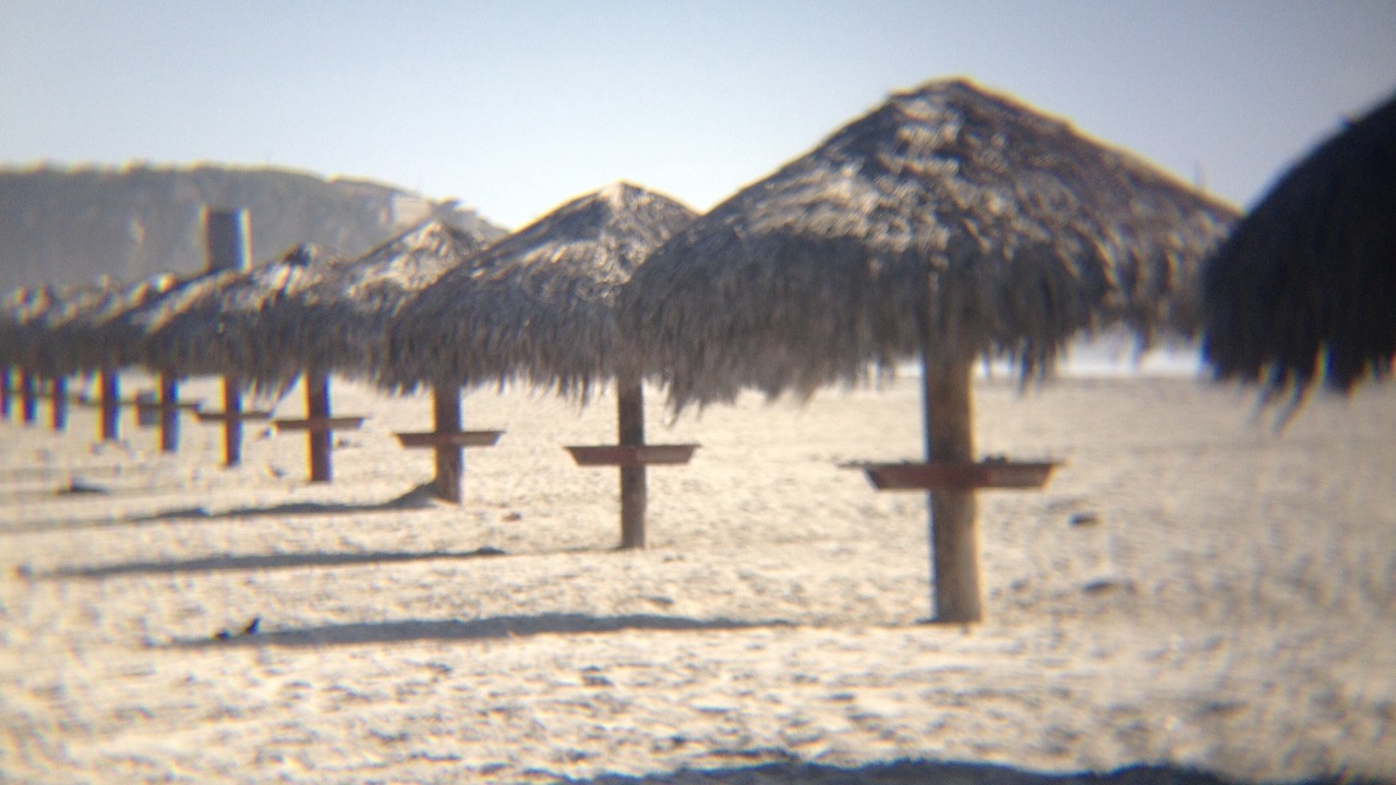 Photo of Others in Juarez Municipality