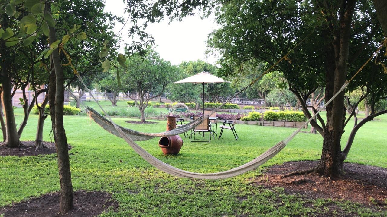 Photo of Outdoor in Santiago