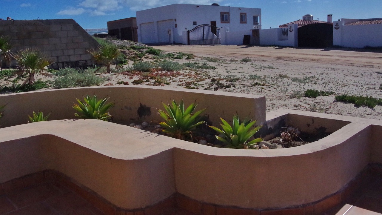 Photo of Others in Puerto Penasco