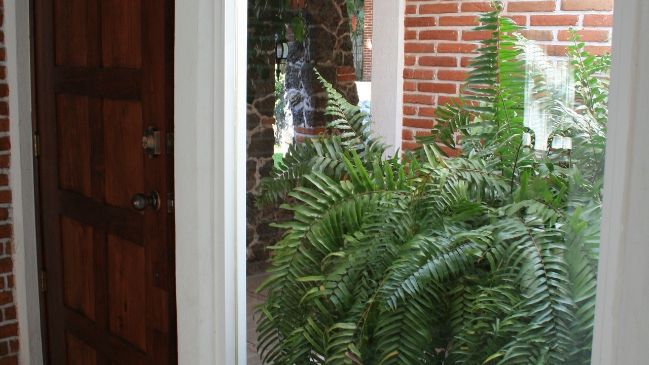 Photo of Others in Yautepec