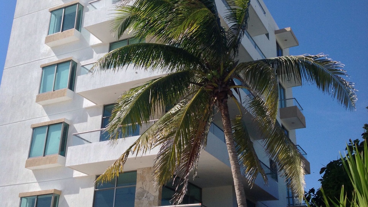 Photo of Outdoor in Chicxulub Puerto