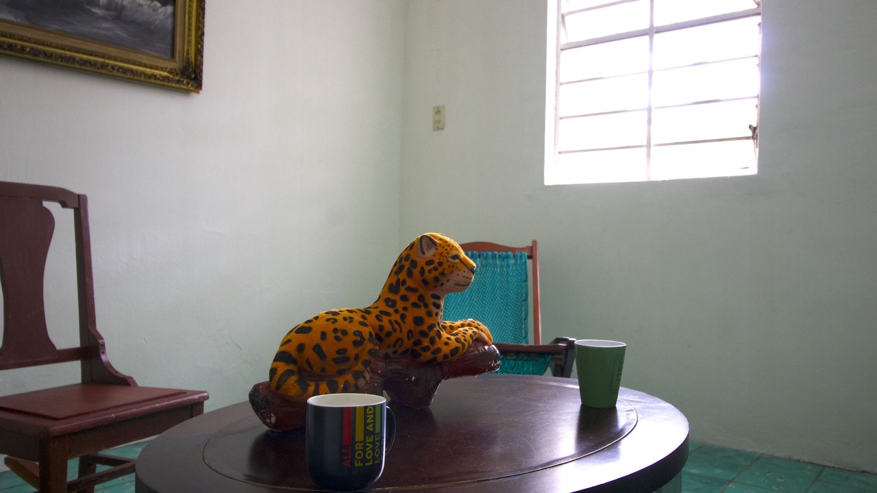 Photo of Others in Merida