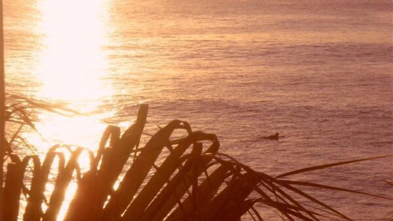 Photo of Others in San Jose del Cabo