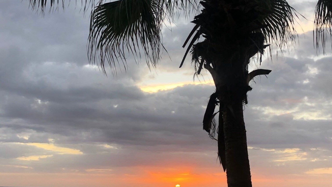 Photo of Others in San Jose del Cabo