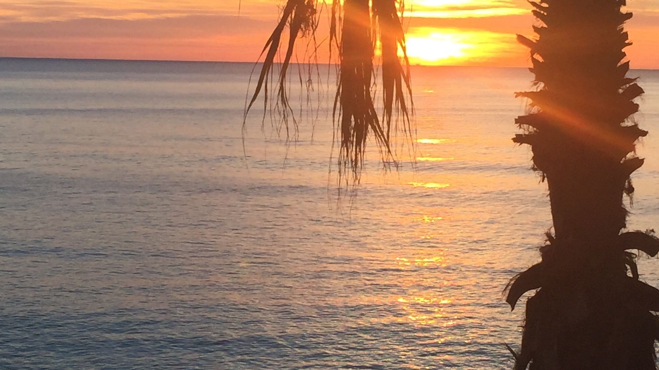 Photo of Others in San Jose del Cabo