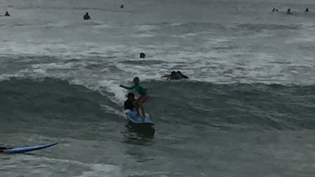 Photo of Others in San Jose del Cabo