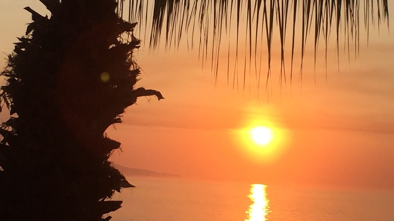 Photo of Others in San Jose del Cabo