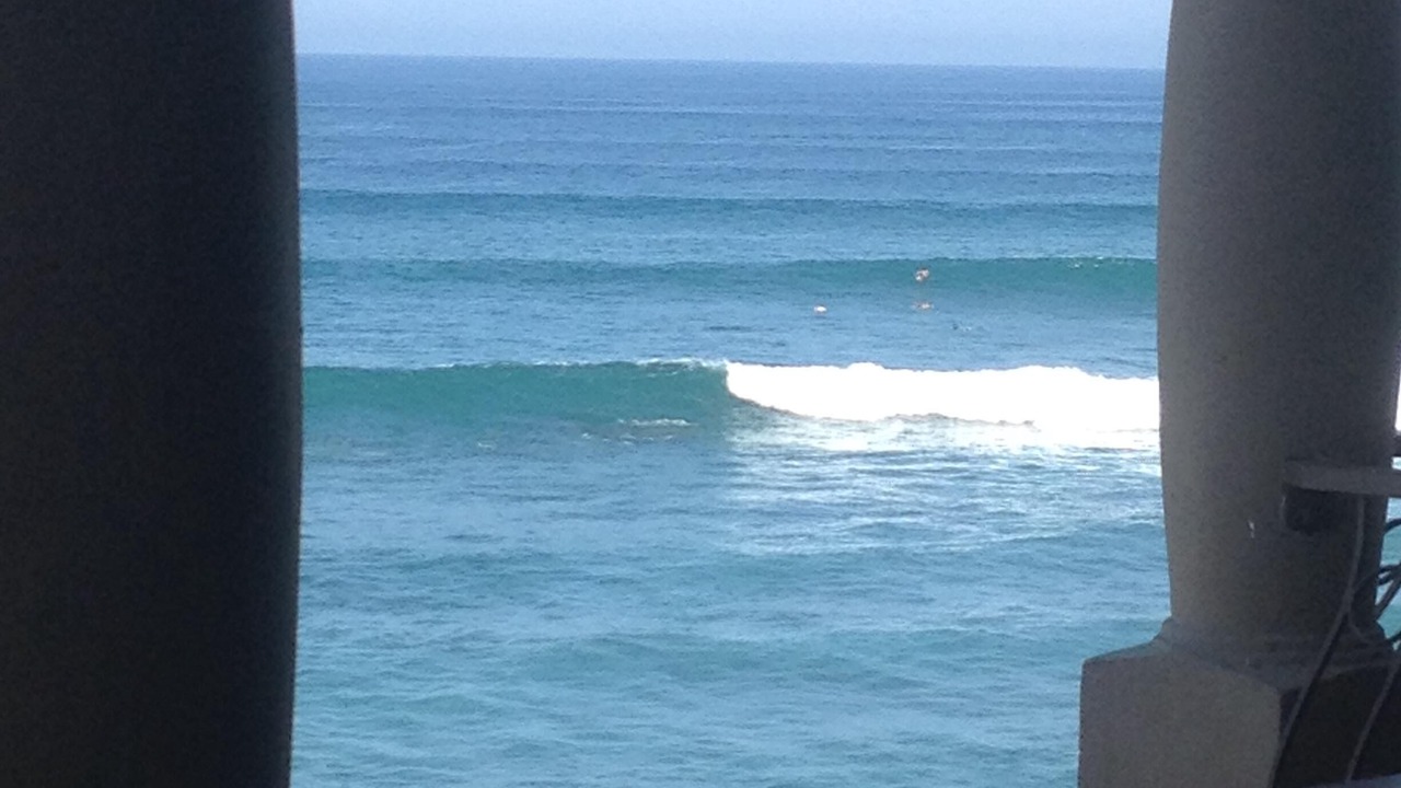 Photo of Others in San Jose del Cabo