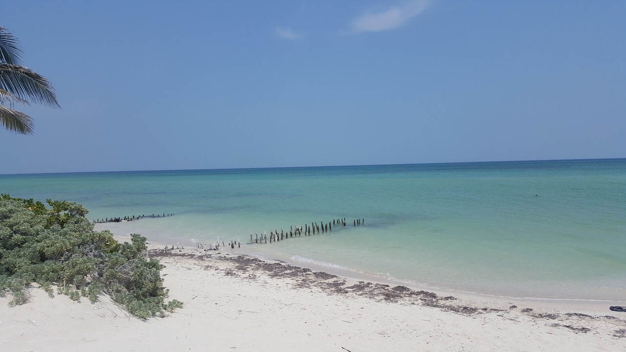 Photo of Others in Chuburna Puerto