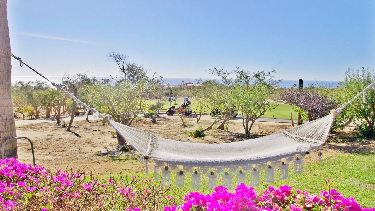 Photo of Others in Los Cabos