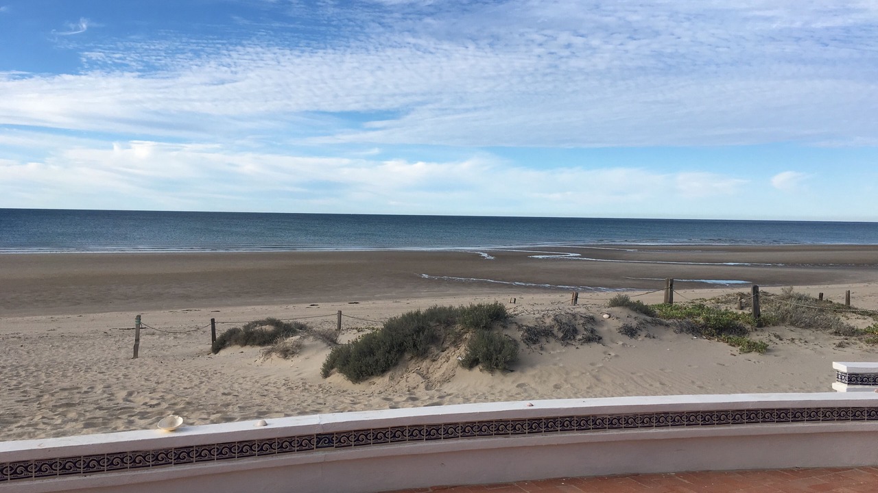 Photo of Others in Puerto Penasco