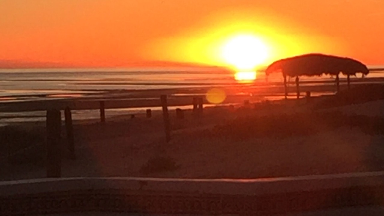Photo of Others in Puerto Penasco