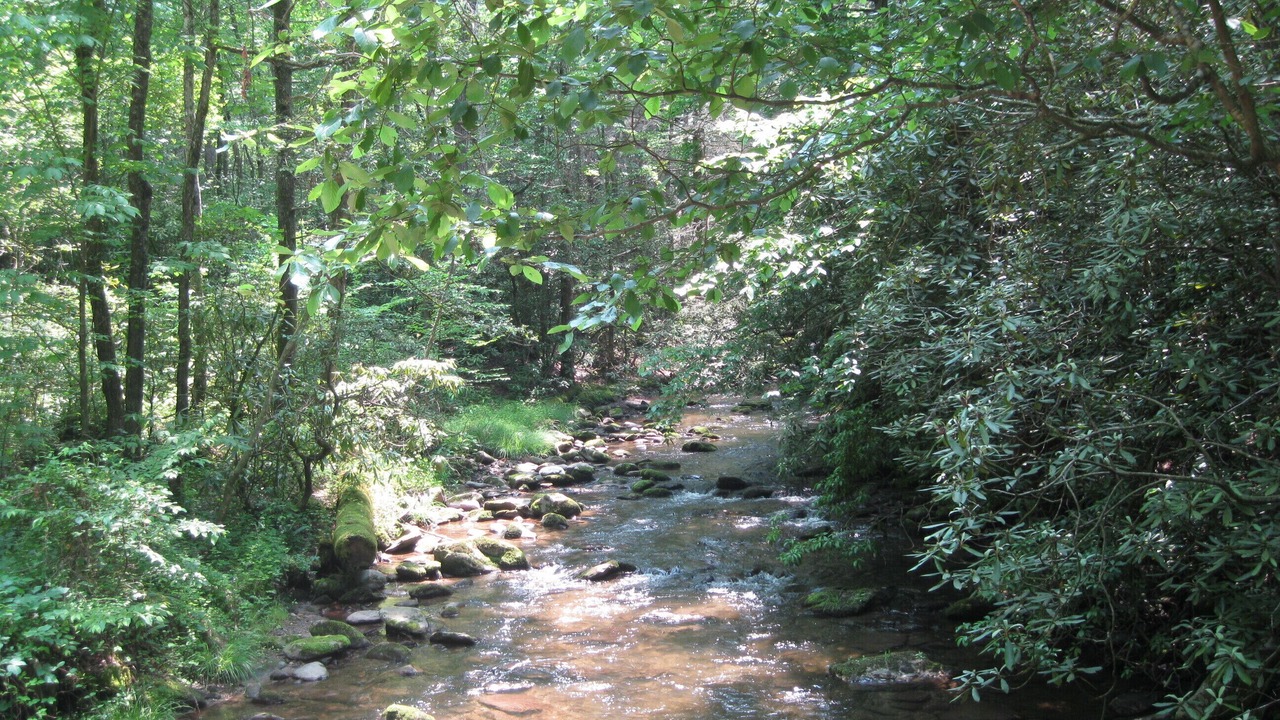 Photo of Others in Gatlinburg