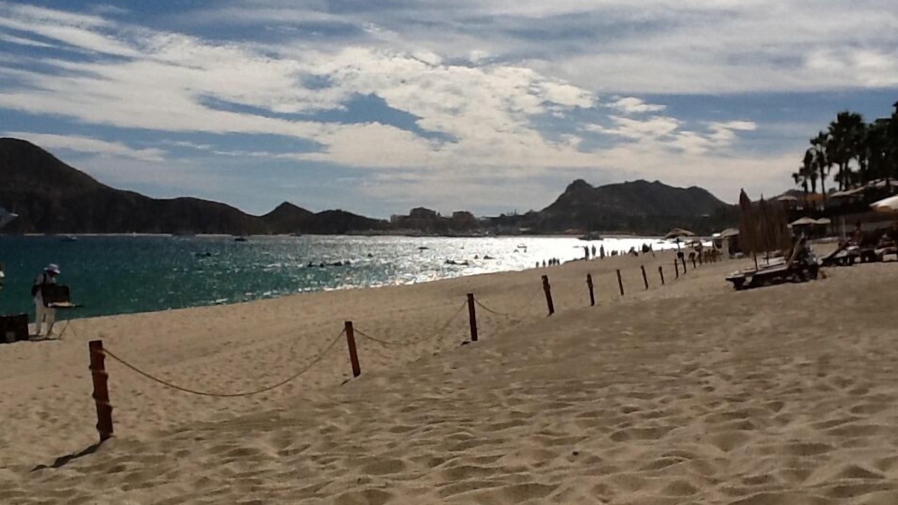 Photo of Others in Los Cabos