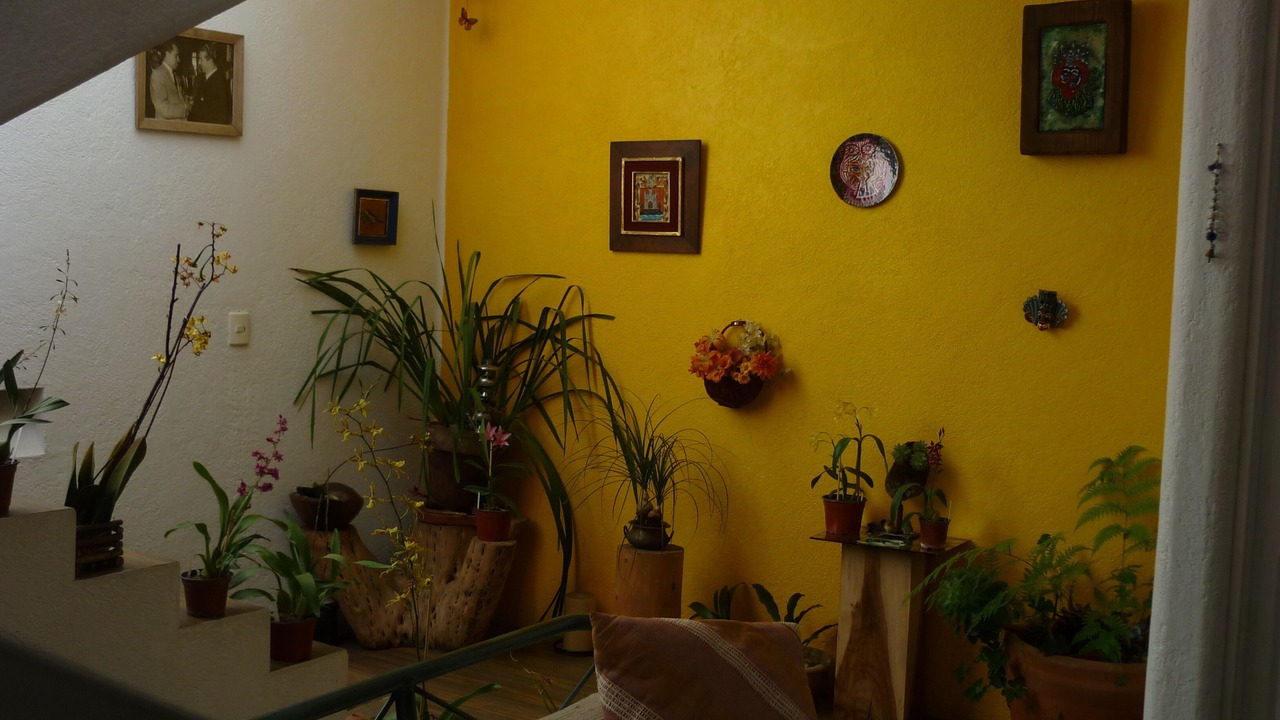 Photo of Others in El Santuario