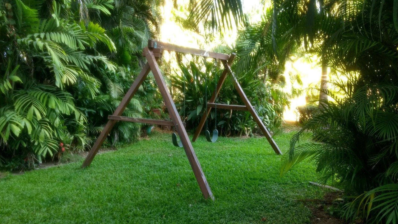 Photo of Others in Puerto Vallarta
