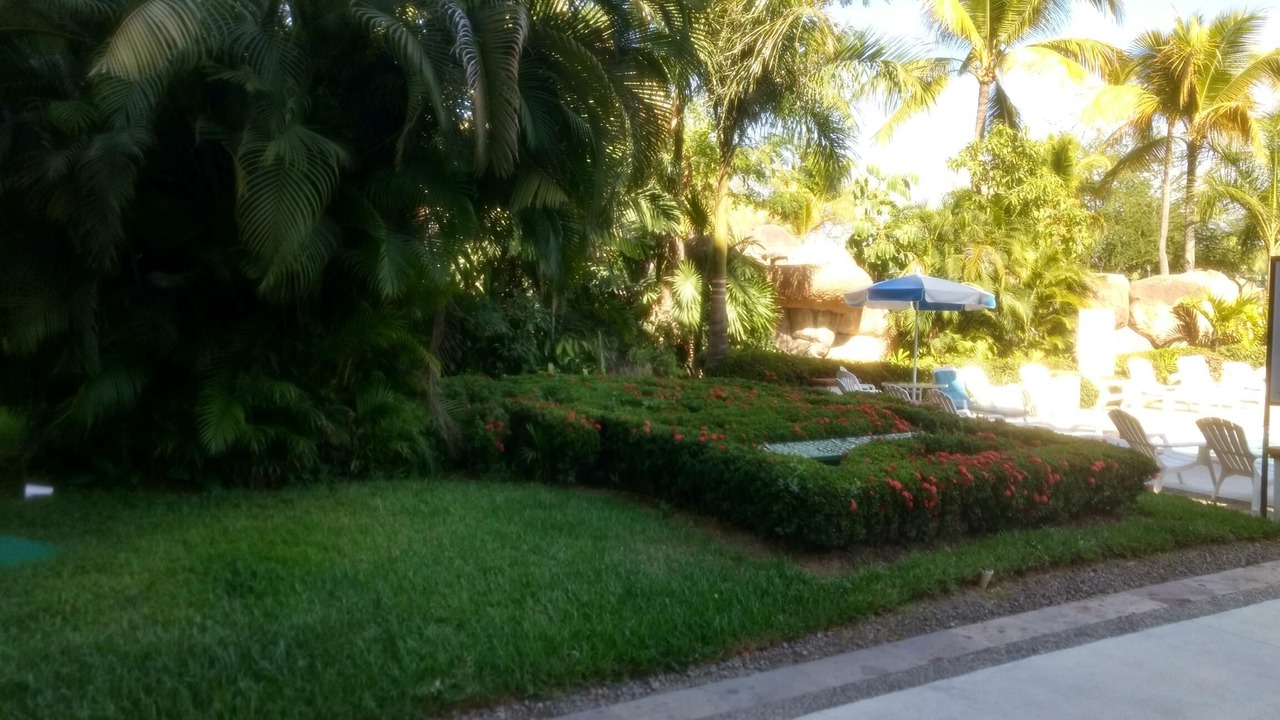Photo of Outdoor in Puerto Vallarta