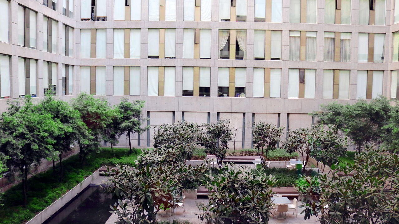 Photo of Outdoor in Colonia Centro