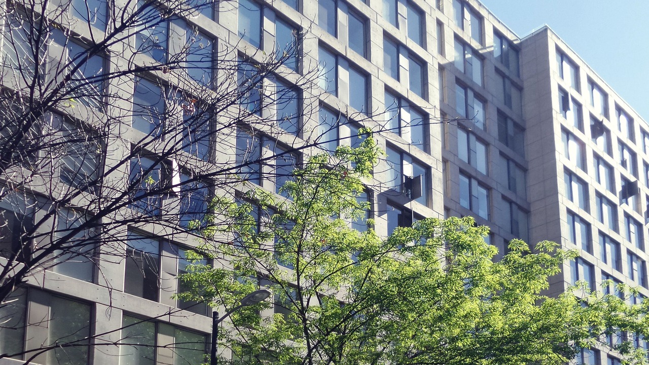 Photo of Outdoor in Colonia Centro