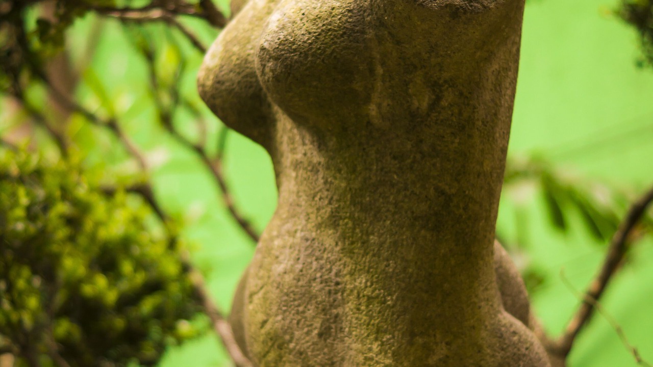 Photo of Outdoor in Campestre