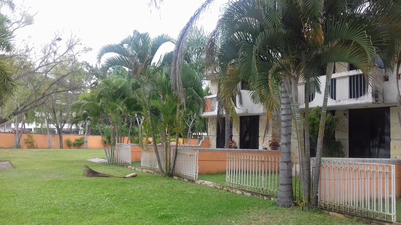 Photo of Others in Tampico