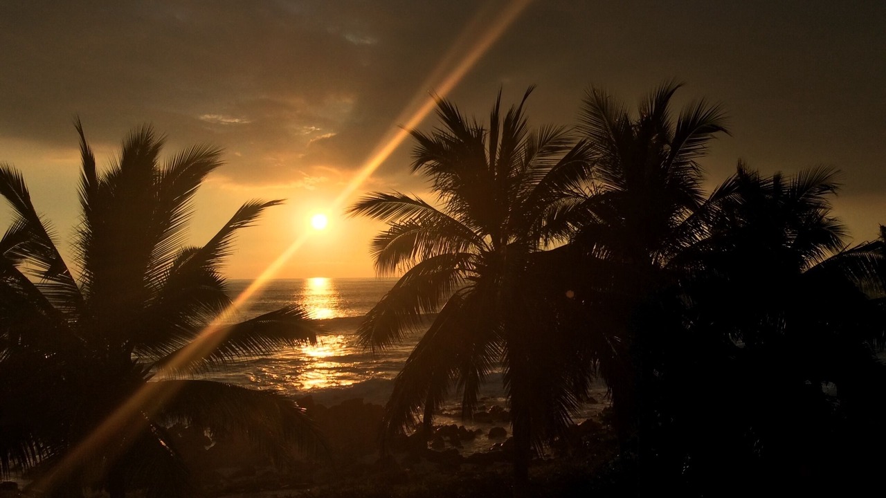 Photo of Others in Troncones