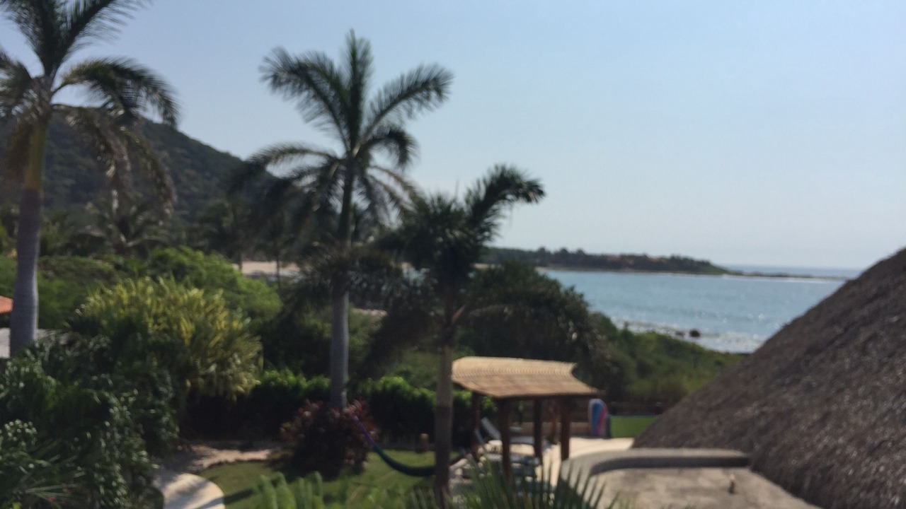 Photo of Others in Troncones