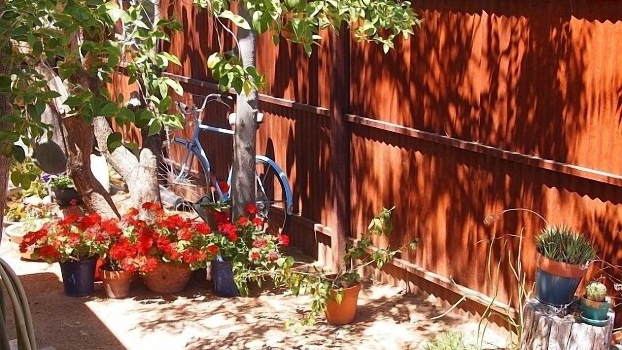 Photo of Outdoor in West University