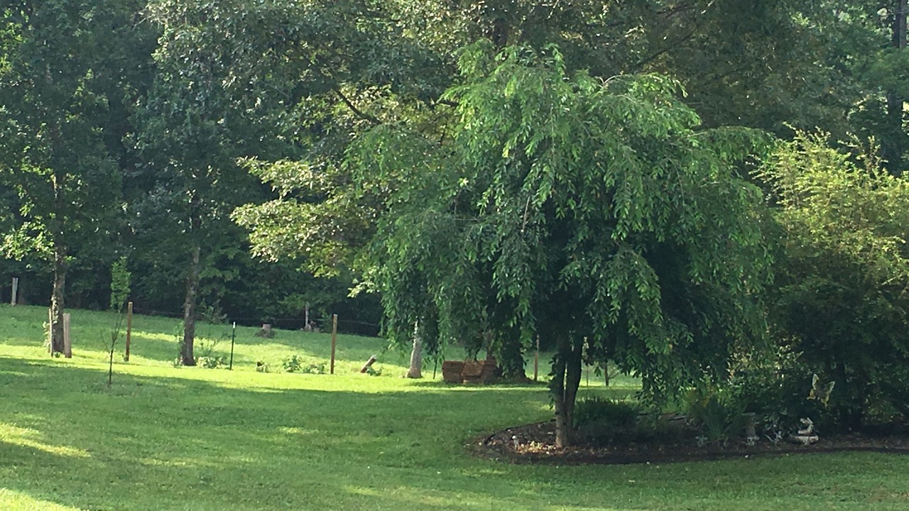 Photo of Others in Rutherfordton
