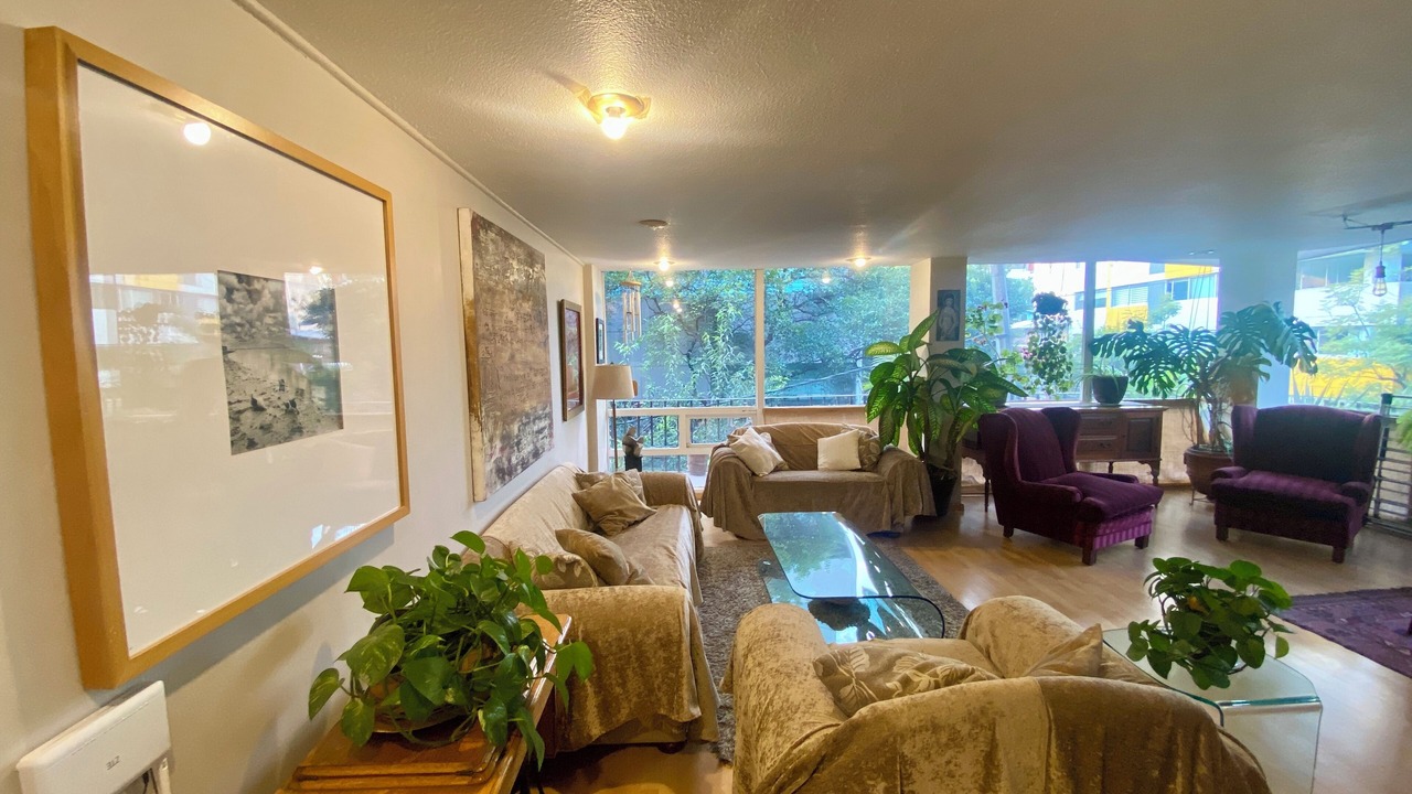 Photo of Livingroom in La Condesa