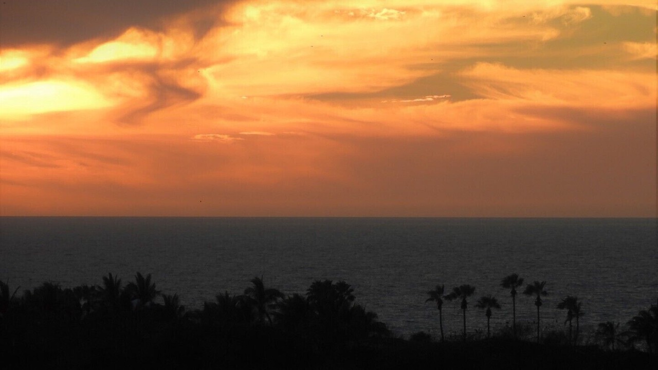 Photo of Others in Marina Mazatlan
